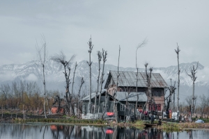 Best of Kashmir