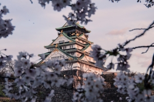 Charming Osaka