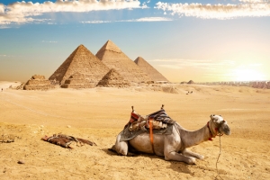 Treasures of Egypt