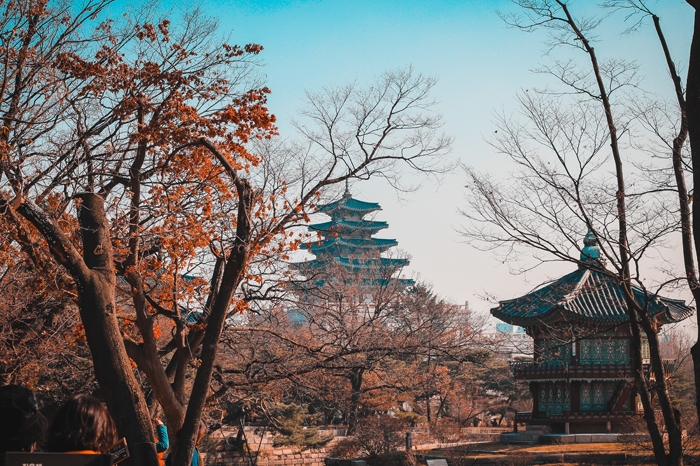 Korea Discovery